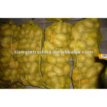 Поставки 2012 Китай свежий картофель